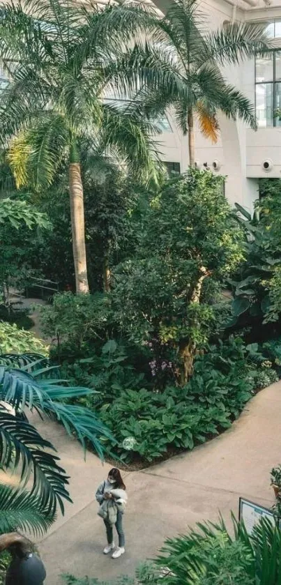 Indoor greenhouse filled with lush plants and greenery.