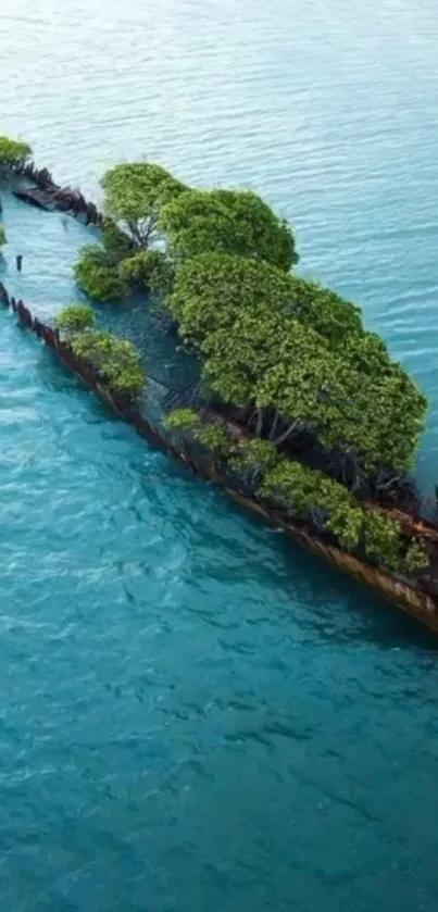 Green island surrounded by turquoise sea.