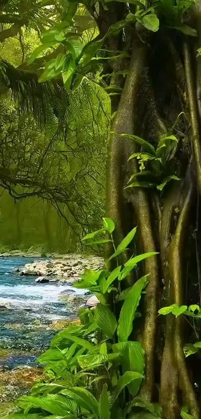 Lush jungle wallpaper with stream and green foliage.