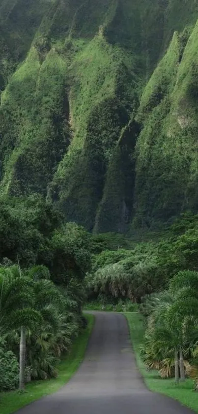 A serene green mountain path with lush foliage ideal for wallpaper.