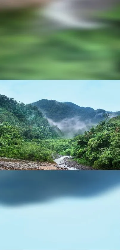 Lush green mountain landscape with stream.