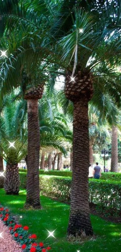 Palm trees lining a lush garden path with vibrant green foliage.