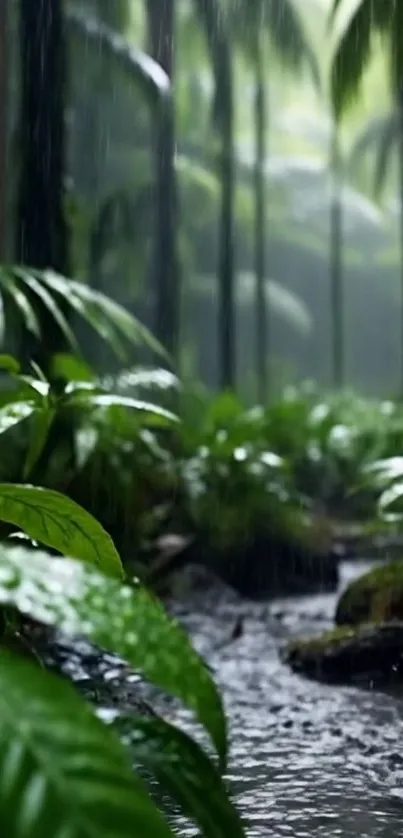 Rainforest scene with lush green foliage and a serene atmosphere.