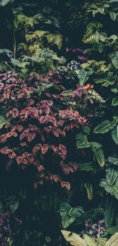 Lush tropical plant wallpaper with vibrant green leaves.