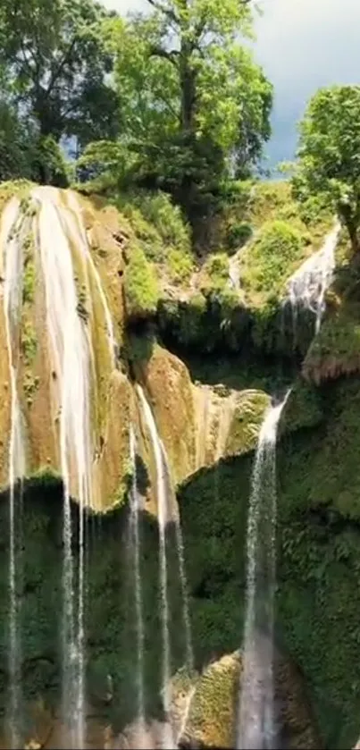 Breathtaking lush waterfall in forest