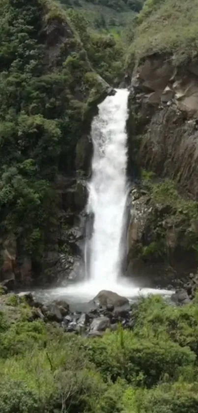 A beautiful waterfall amidst lush forest greenery on a mobile wallpaper.