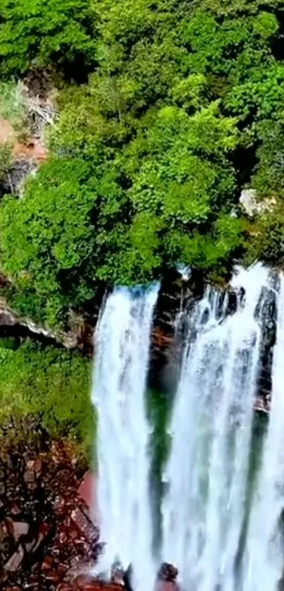 Waterfall cascading through lush green forest in a tranquil natural setting.