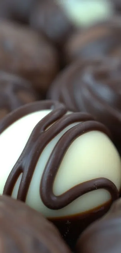 Close-up of assorted chocolate truffles with intricate designs.