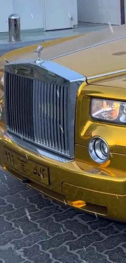 Luxurious gold car with chrome detailing in front view.