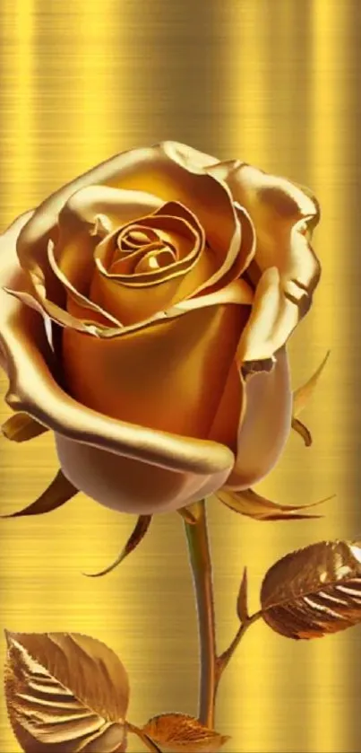 Gold rose on golden background mobile wallpaper.