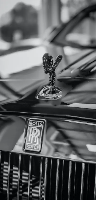 Luxury car front with iconic emblem in black and white.