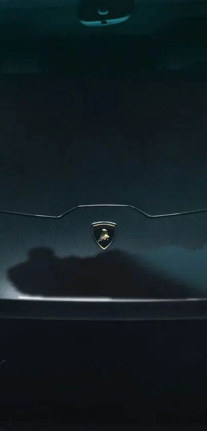 Dark luxury car emblem on sleek background.