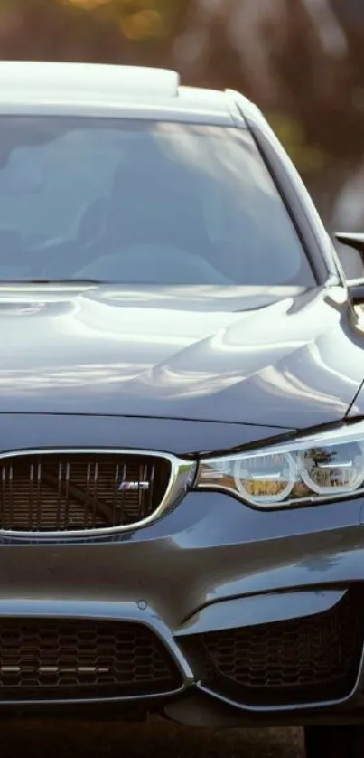 Luxury car front view in golden light.