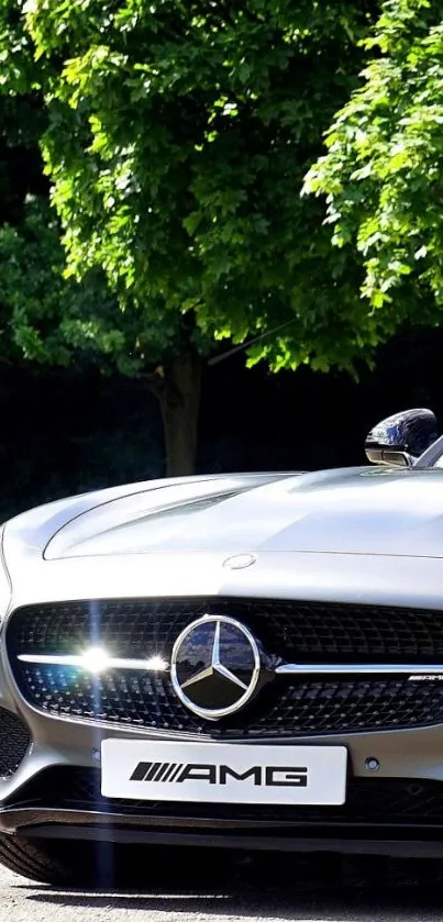 Sleek luxury car front view with green trees in background.