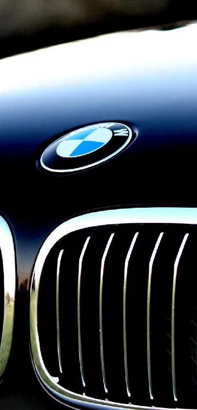 Close-up of a luxury car grille with sleek black design.