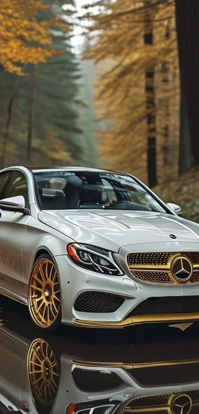 Luxury car with golden wheels in autumn forest reflecting on water.