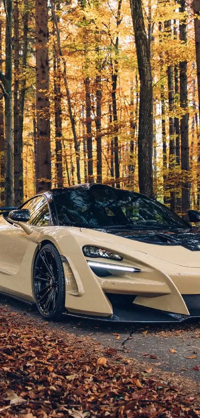 Luxury car in an autumn forest setting, surrounded by vibrant yellow leaves.