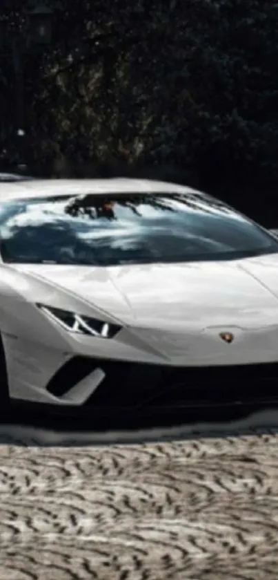 Luxury white car set against a tranquil forest backdrop.