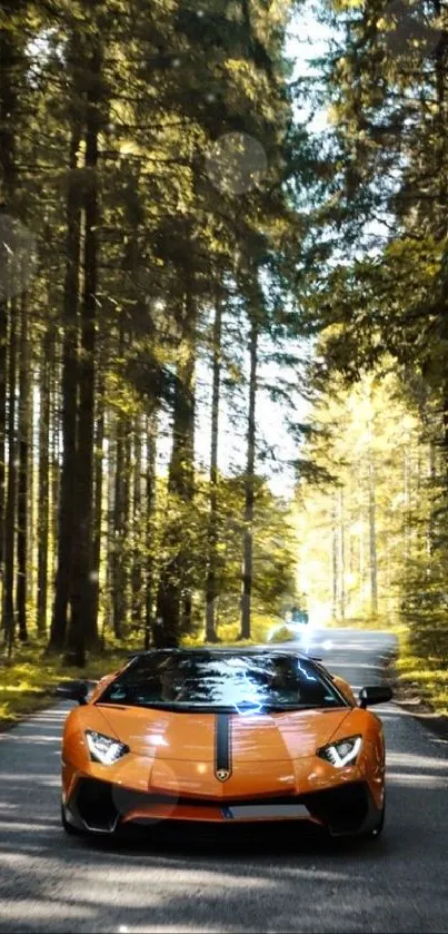 Orange luxury car driving through a lush forest pathway.