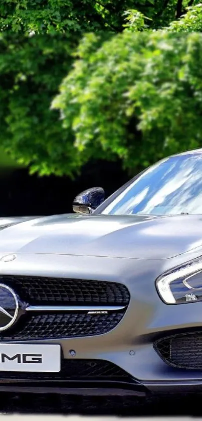 Luxury car wallpaper with silver Mercedes, featuring AMG logo and scenic background.