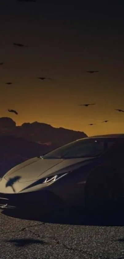 Luxury car against a dark evening sky with birds.