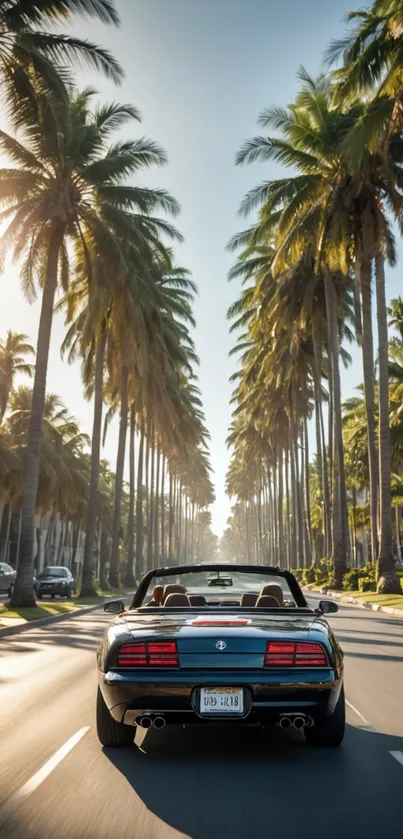 Luxury convertible drives down palm-lined avenue at sunset.