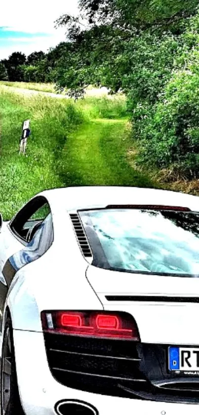 Luxury car driving on a scenic countryside road with lush greenery.