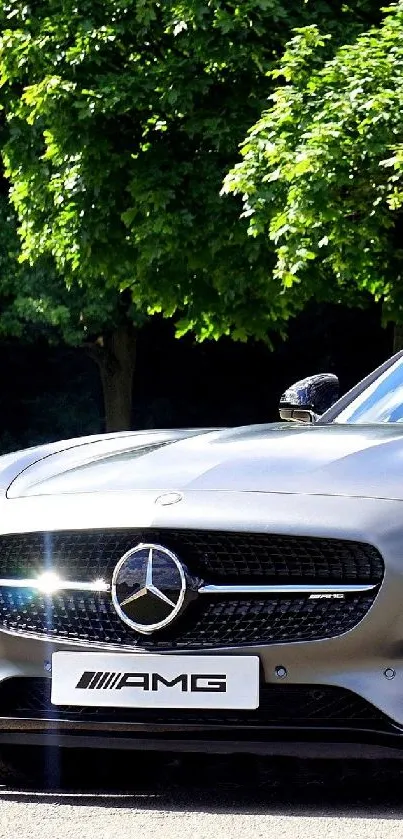 Grey luxury car parked under vibrant green trees.