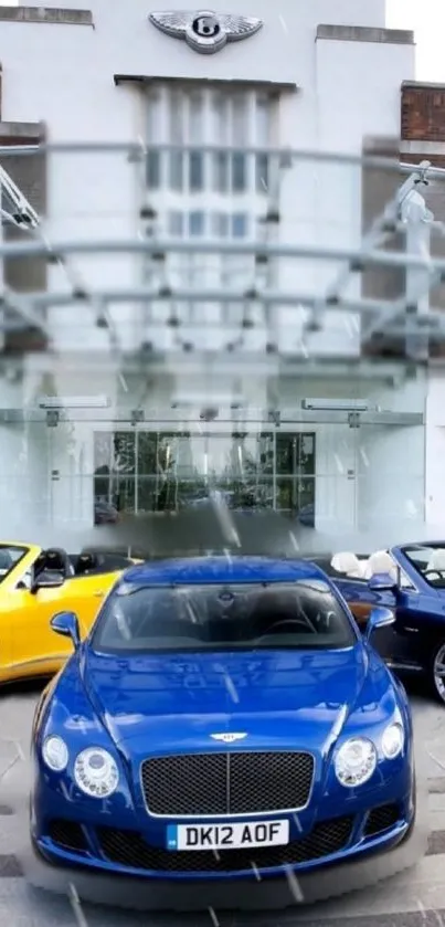 Luxury cars lined up in front of an elegant showroom with a blue car in focus.