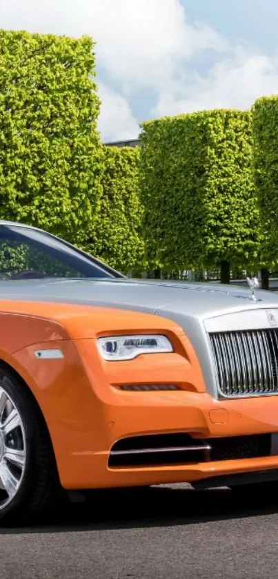 Orange luxury car on clean road with green manicured trees.