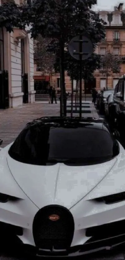 Luxury sports car parked on city street at night.