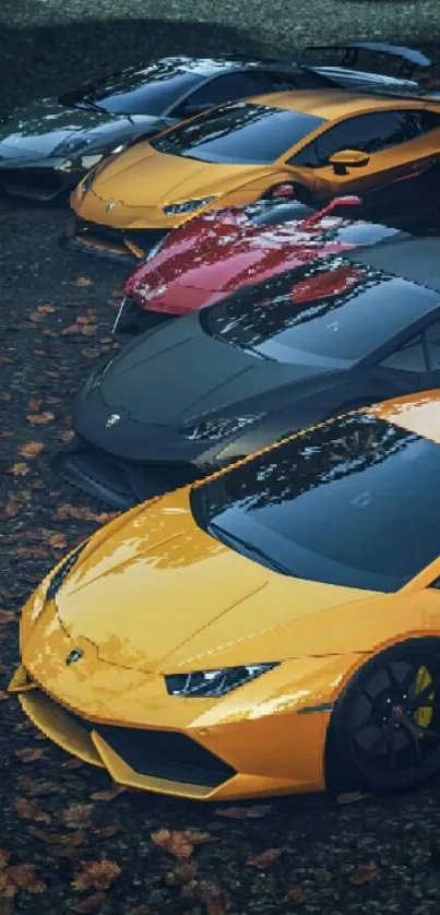 Luxury sports cars lined up with autumn leaves.