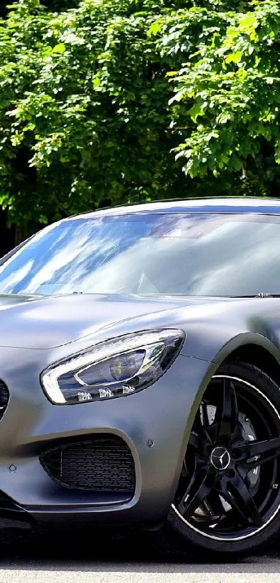 Luxury sports car under green trees.