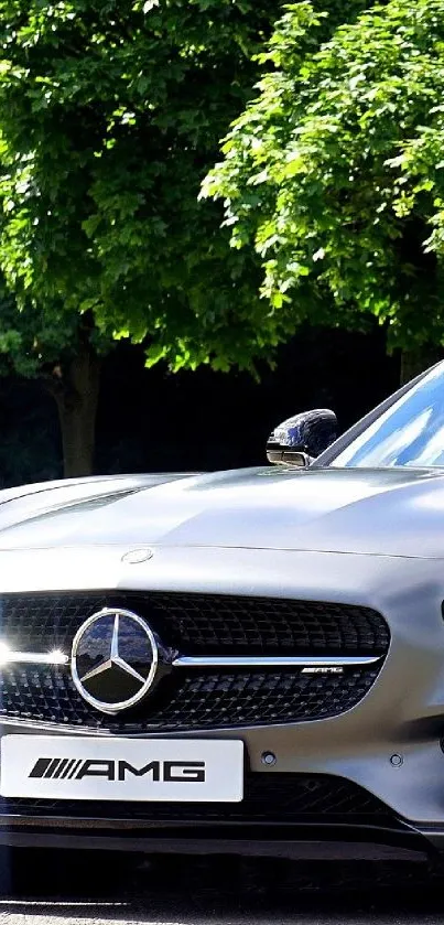 Luxury sports car with lush green backdrop.