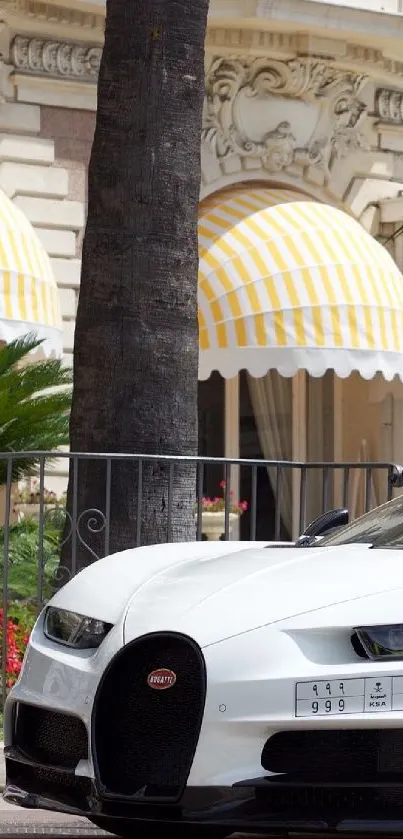 Luxury black and white sports car parked elegantly.