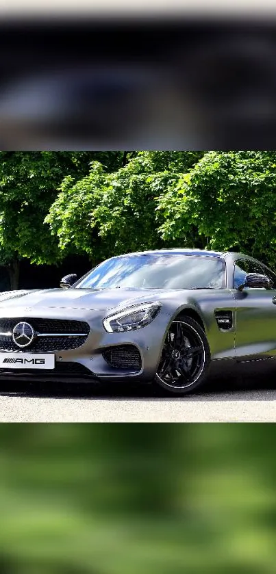 Sleek silver sports car in lush green setting.