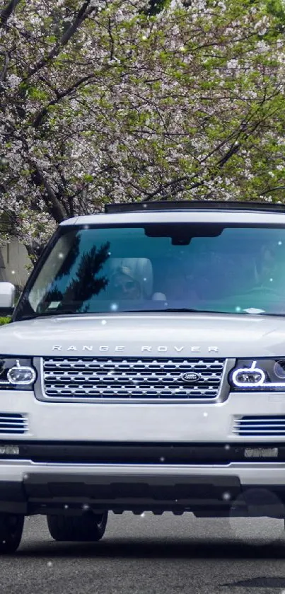 Luxury white SUV on street with cherry blossoms in background.