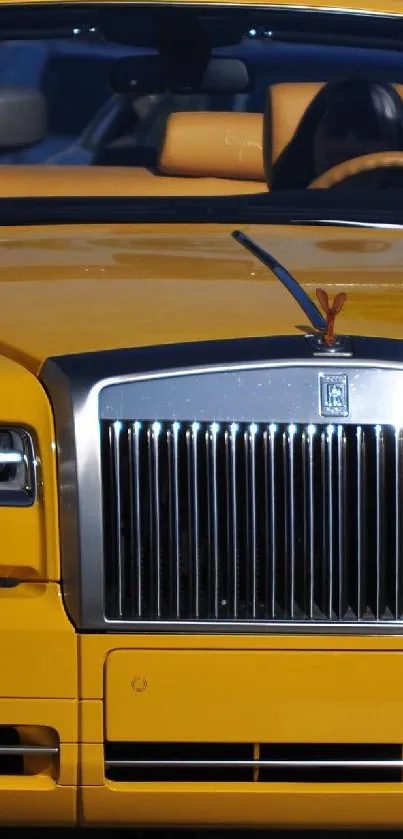Luxury yellow convertible car in striking front view.