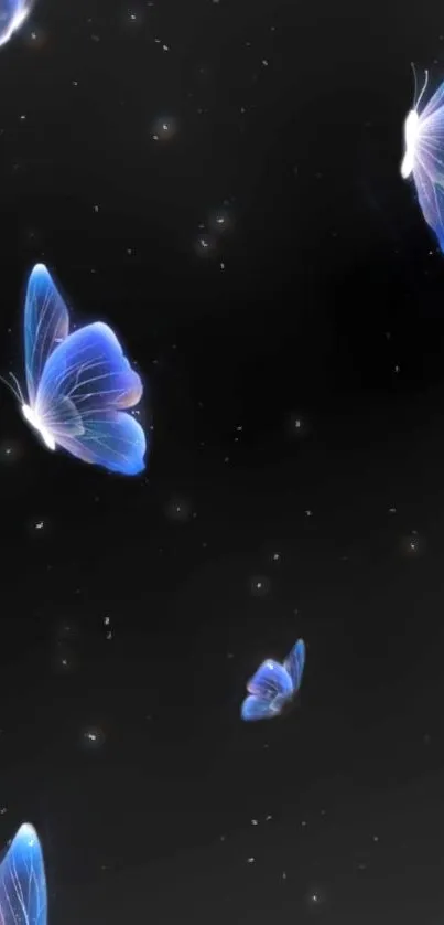 Elegant blue butterflies on a dark starry background.