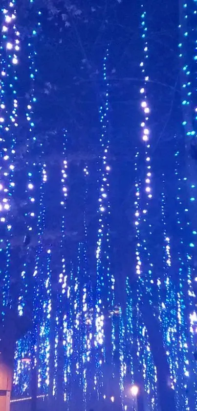 Vibrant blue and white lights cascade down in a magical night display.