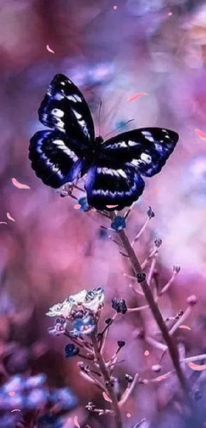 Butterfly perched on purple flowers with magical ambiance.