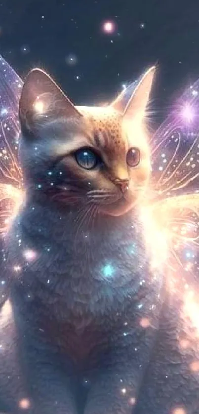 Mystical cat with glowing butterfly wings against a dark blue background.