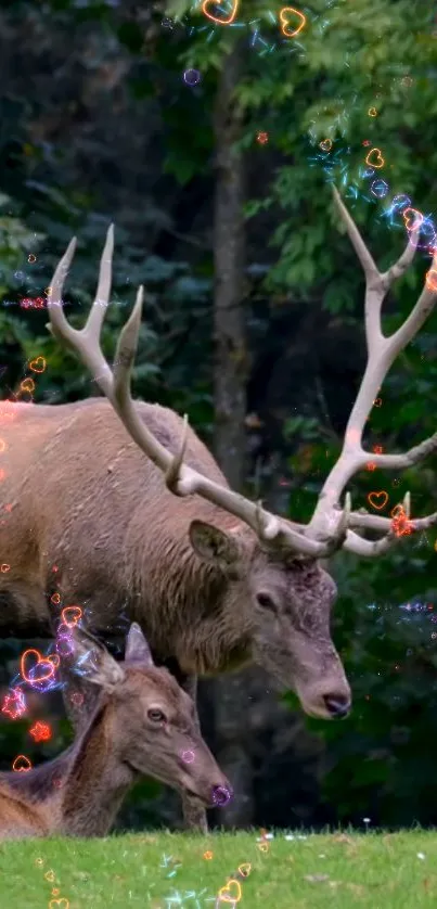 Enchanting deer couple in lush forest.