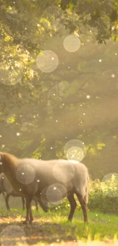 Serene morning in the forest with sheep grazing under soft sunlight.