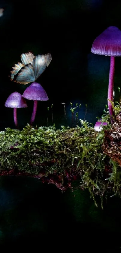 Magical forest wallpaper with mushrooms and butterflies.