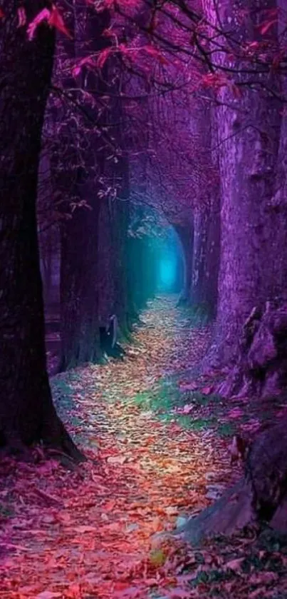 Magical forest path with purple hues and autumn leaves wallpaper.