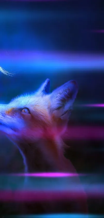 Fox looks at glowing blue light in darkness.