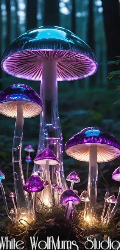 Neon purple glowing mushrooms in forest wallpaper.