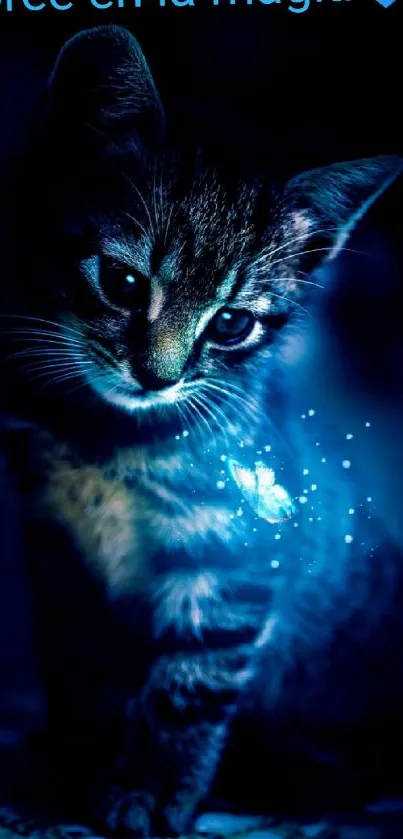 Mystical kitten with blue glowing light in a dreamy ambience.