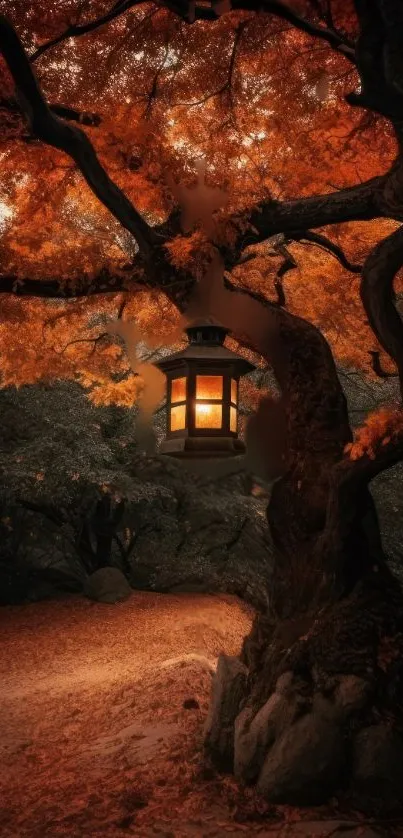 Glowing lantern hanging on an autumn tree with vibrant orange leaves.